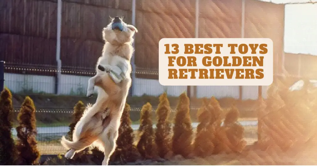 best toys for golden retriever