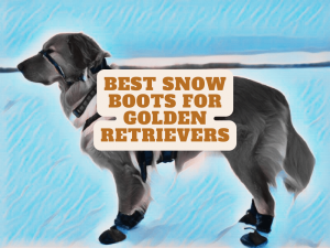 best snow boots for golden retrievers