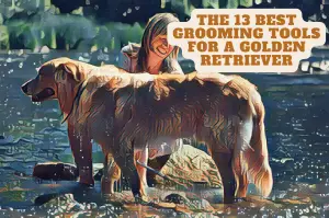 grooming tools for golden retrievers