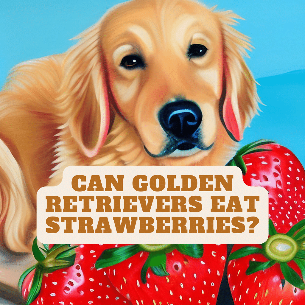 Can Golden Retrievers Eat Strawberries