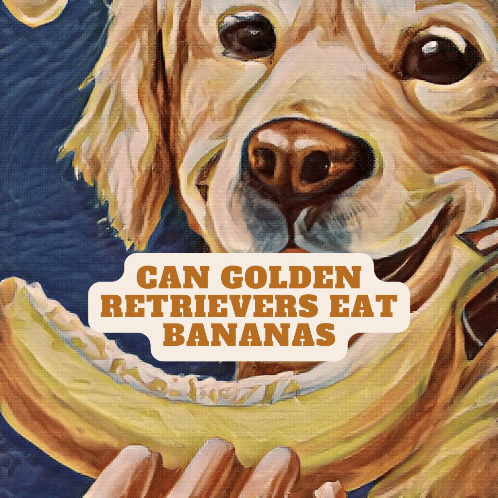 can golden retrievers eat bananas